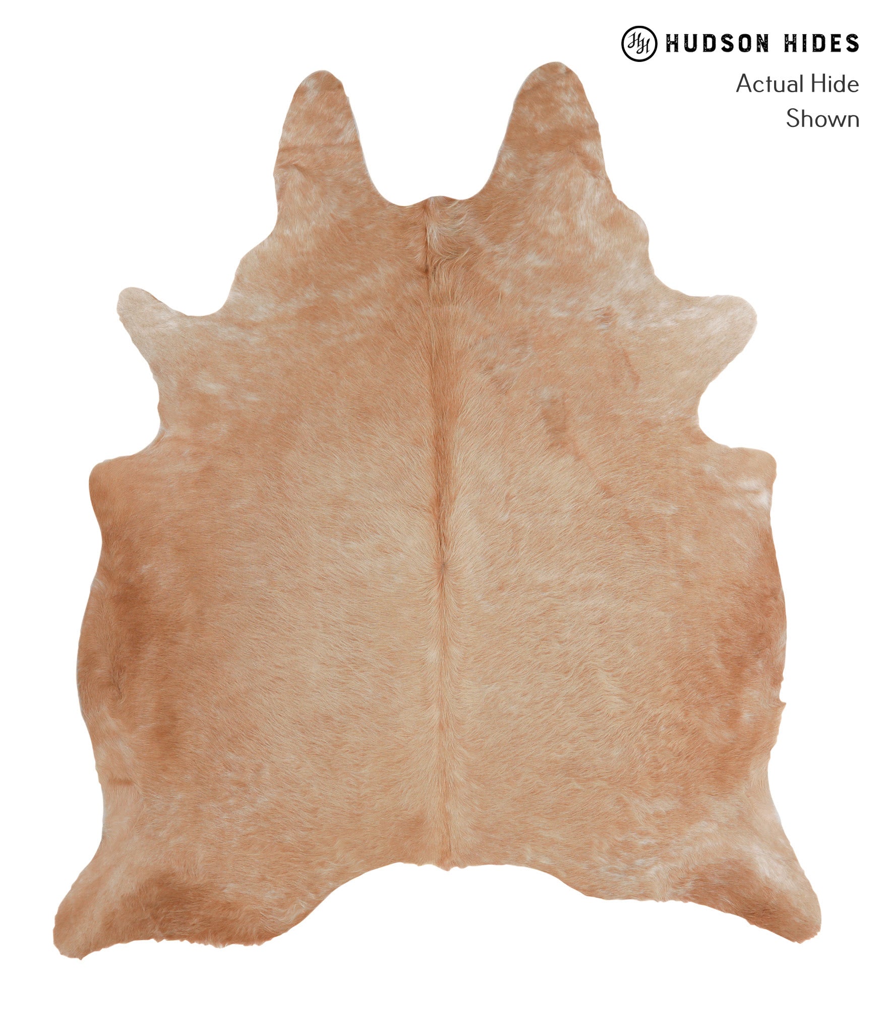 Solid Brown Cowhide Rug #A4158