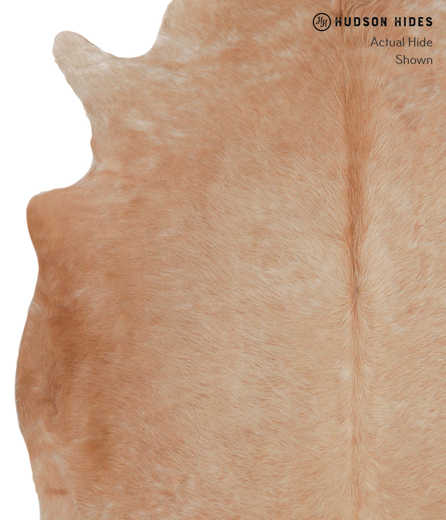 Solid Brown Cowhide Rug #A4158