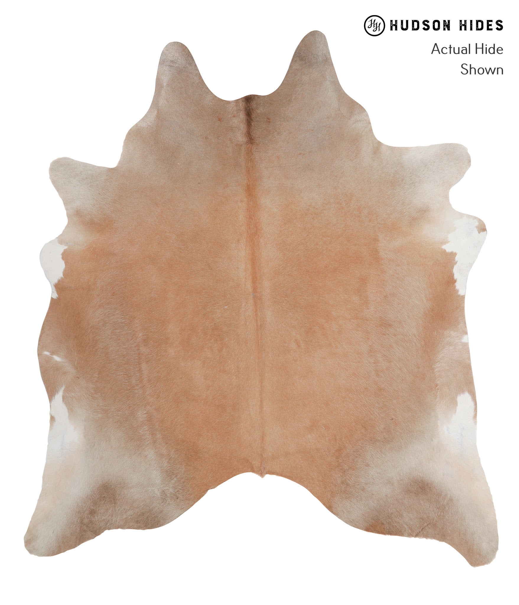 Caramel Cowhide Rug #A4233