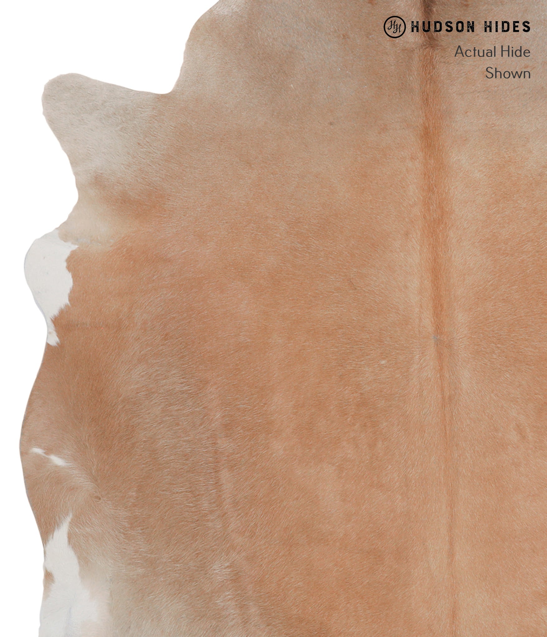 Caramel Cowhide Rug #A4233