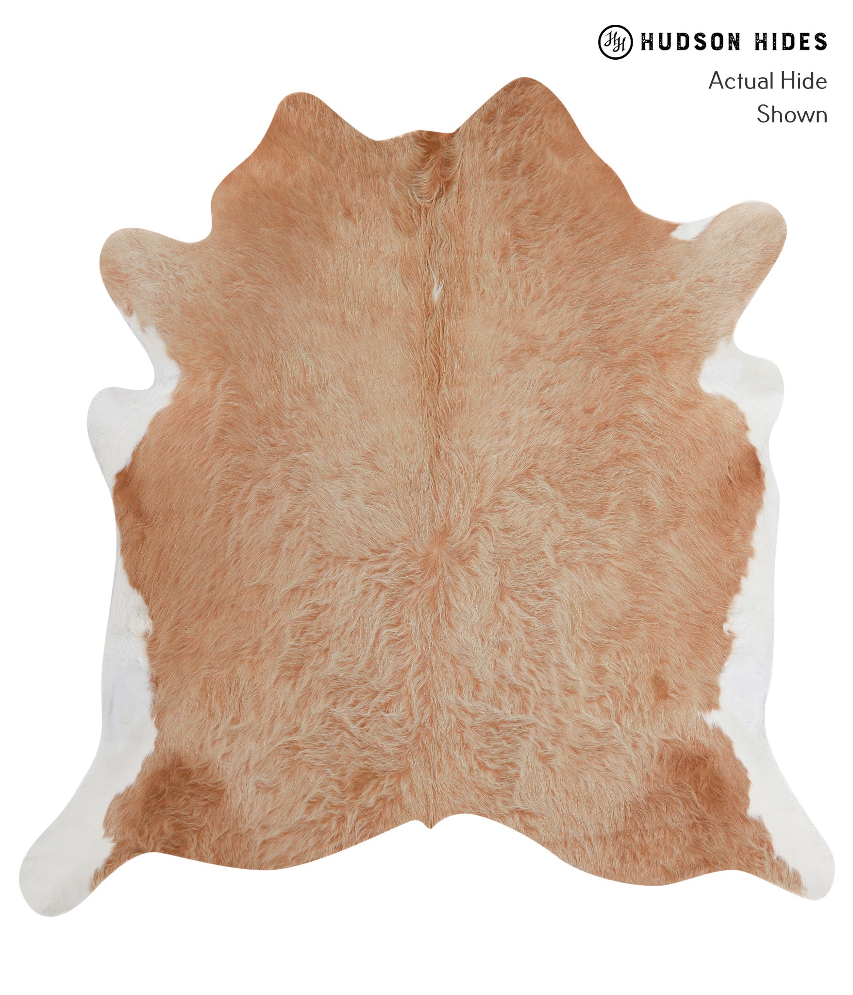 Brown and White Regular Cowhide Rug #A4278