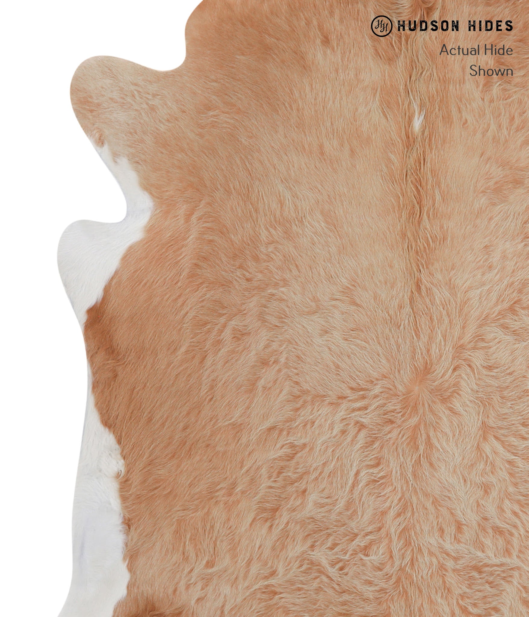 Brown and White Regular Cowhide Rug #A4278