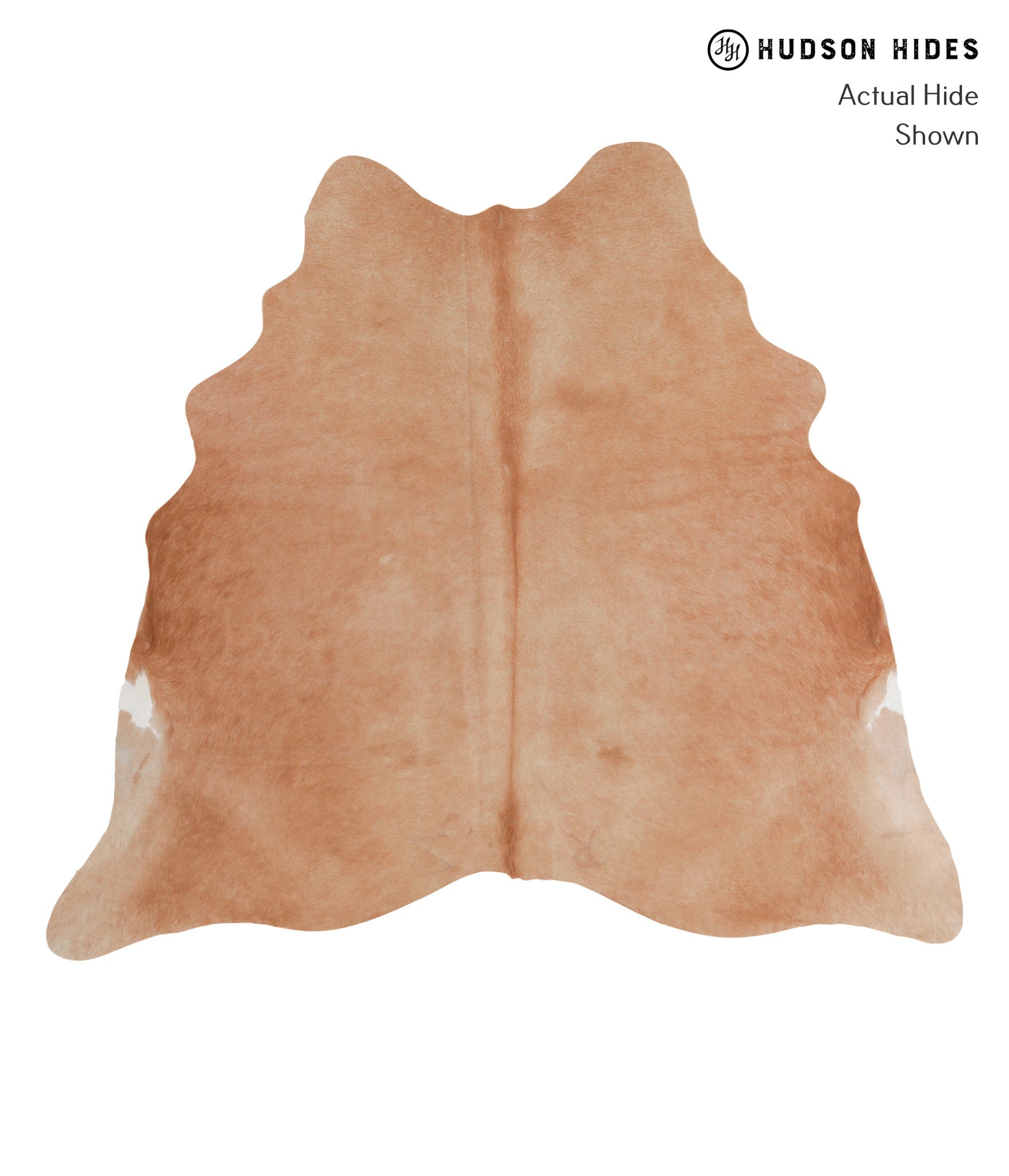 Solid Brown Cowhide Rug #A4323