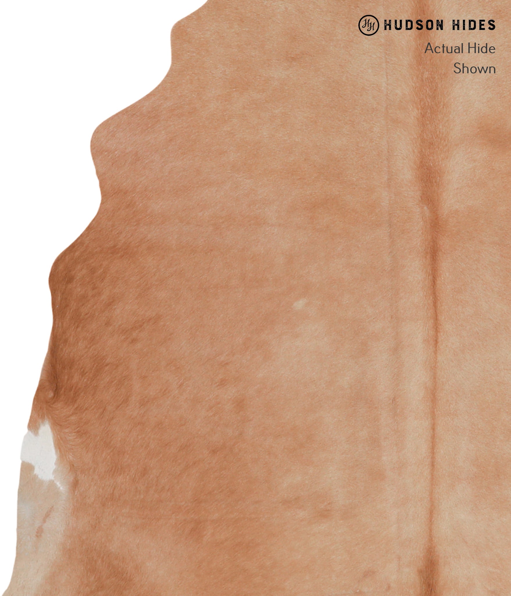 Solid Brown Cowhide Rug #A4323