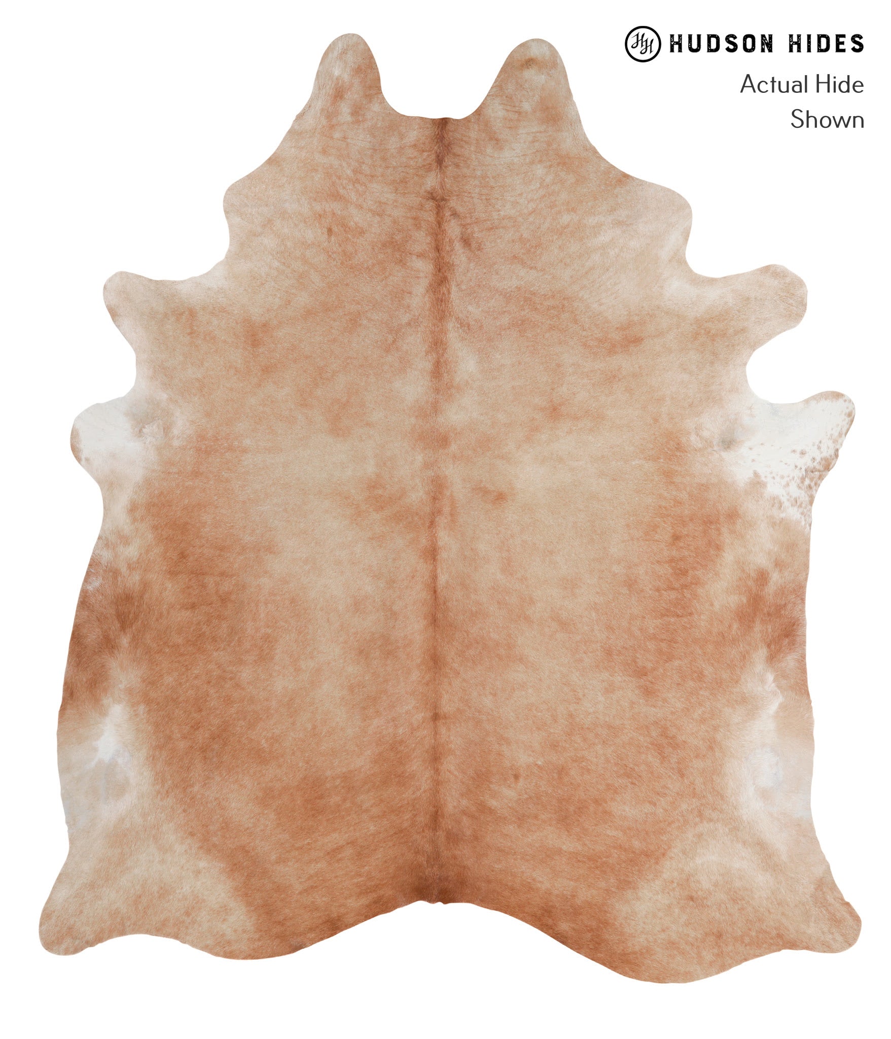 Solid Brown Cowhide Rug #A4368