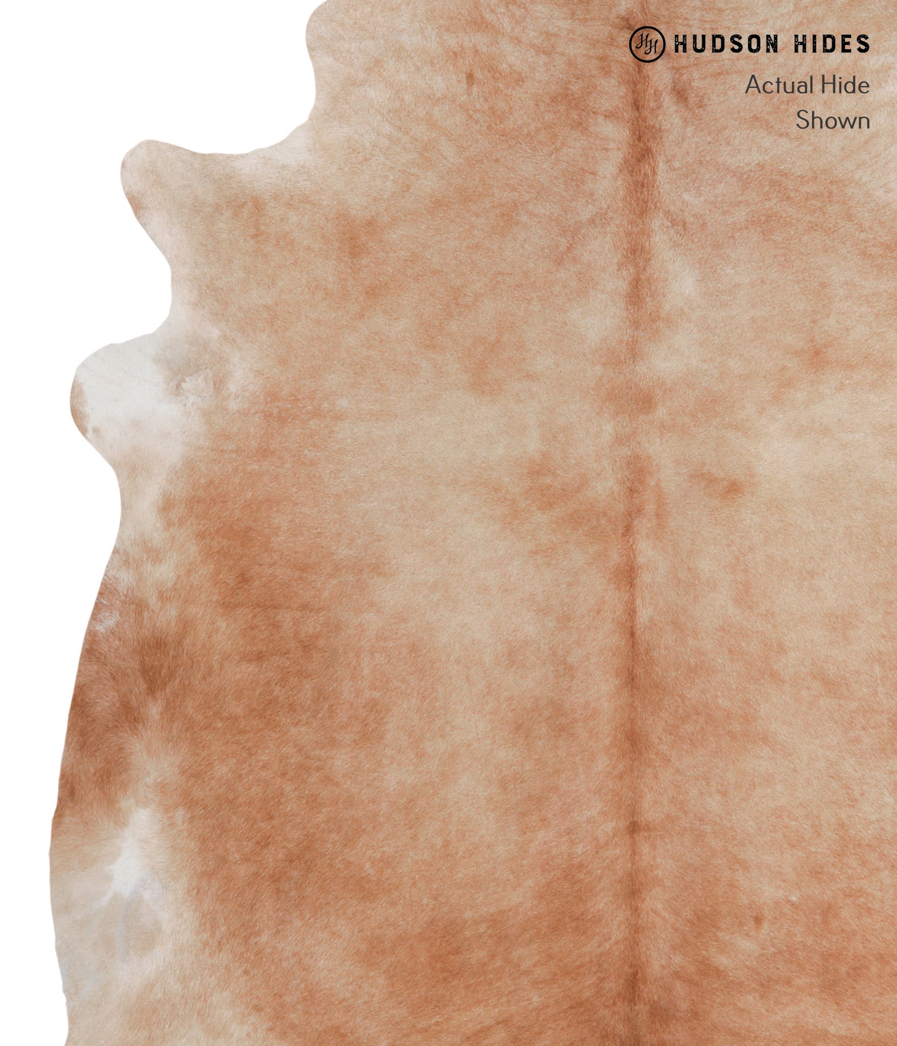 Solid Brown Cowhide Rug #A4368