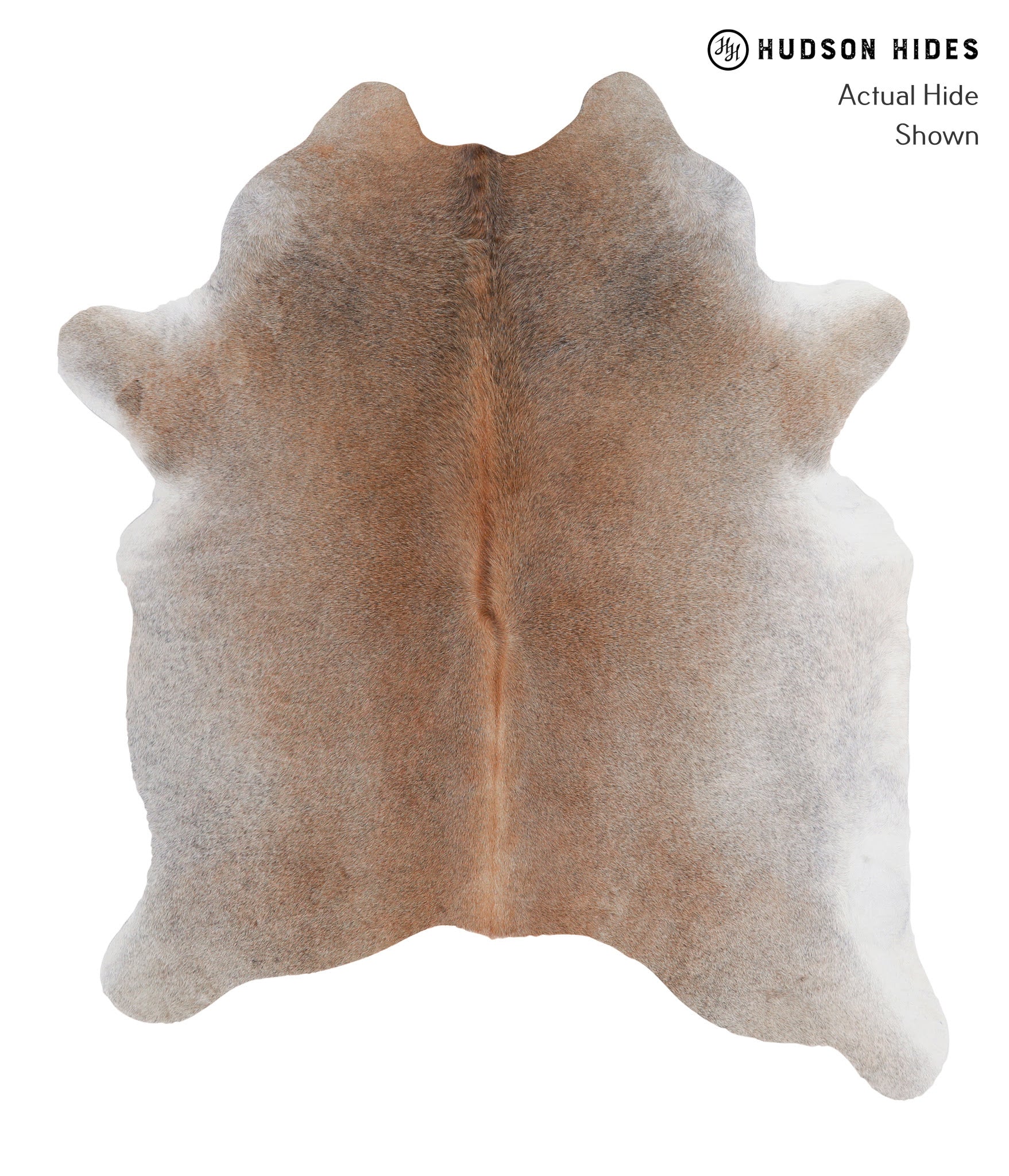 Grey with Beige Cowhide Rug #A4372