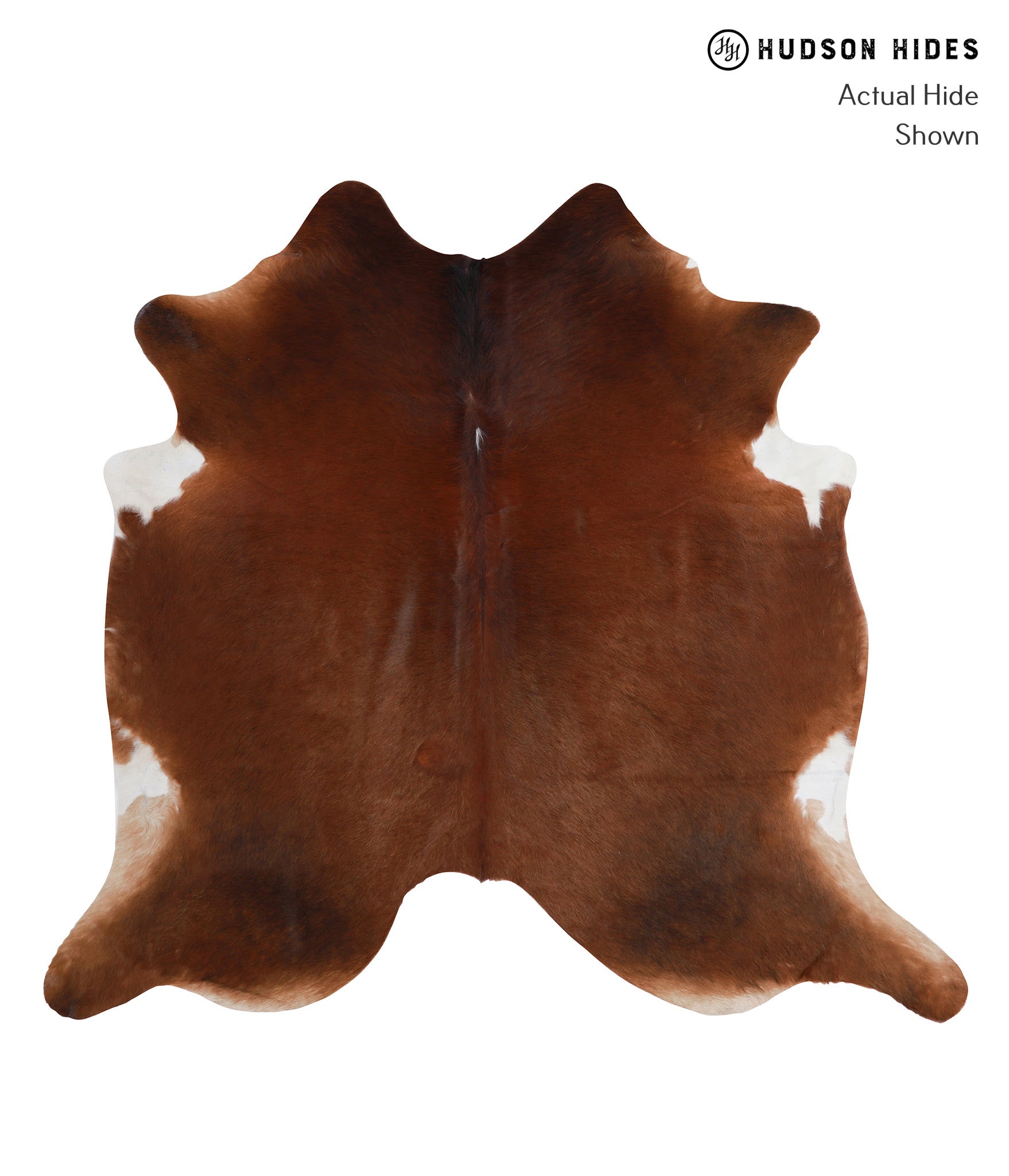 Solid Brown Cowhide Rug #A4397