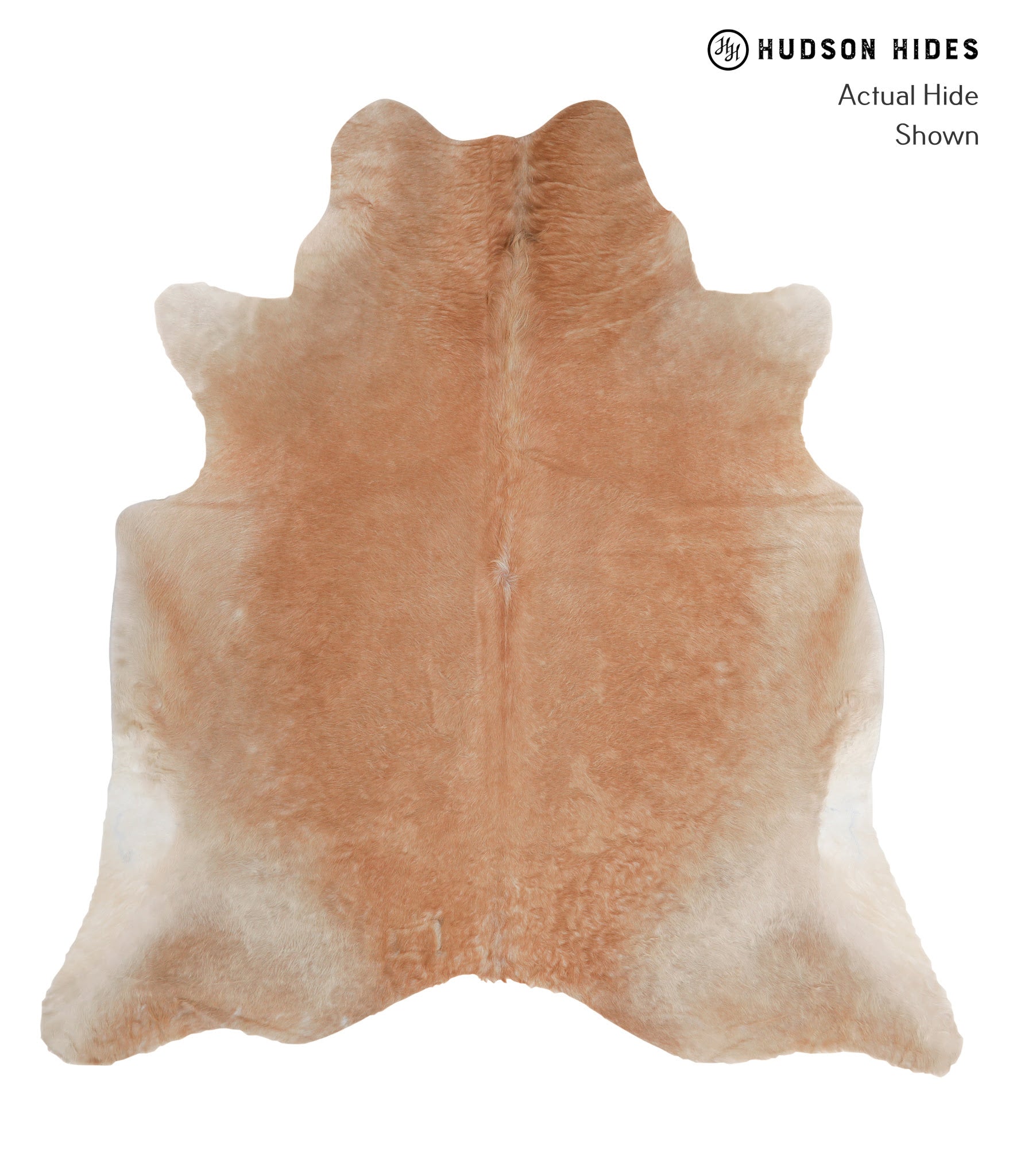 Solid Brown Cowhide Rug #A4504