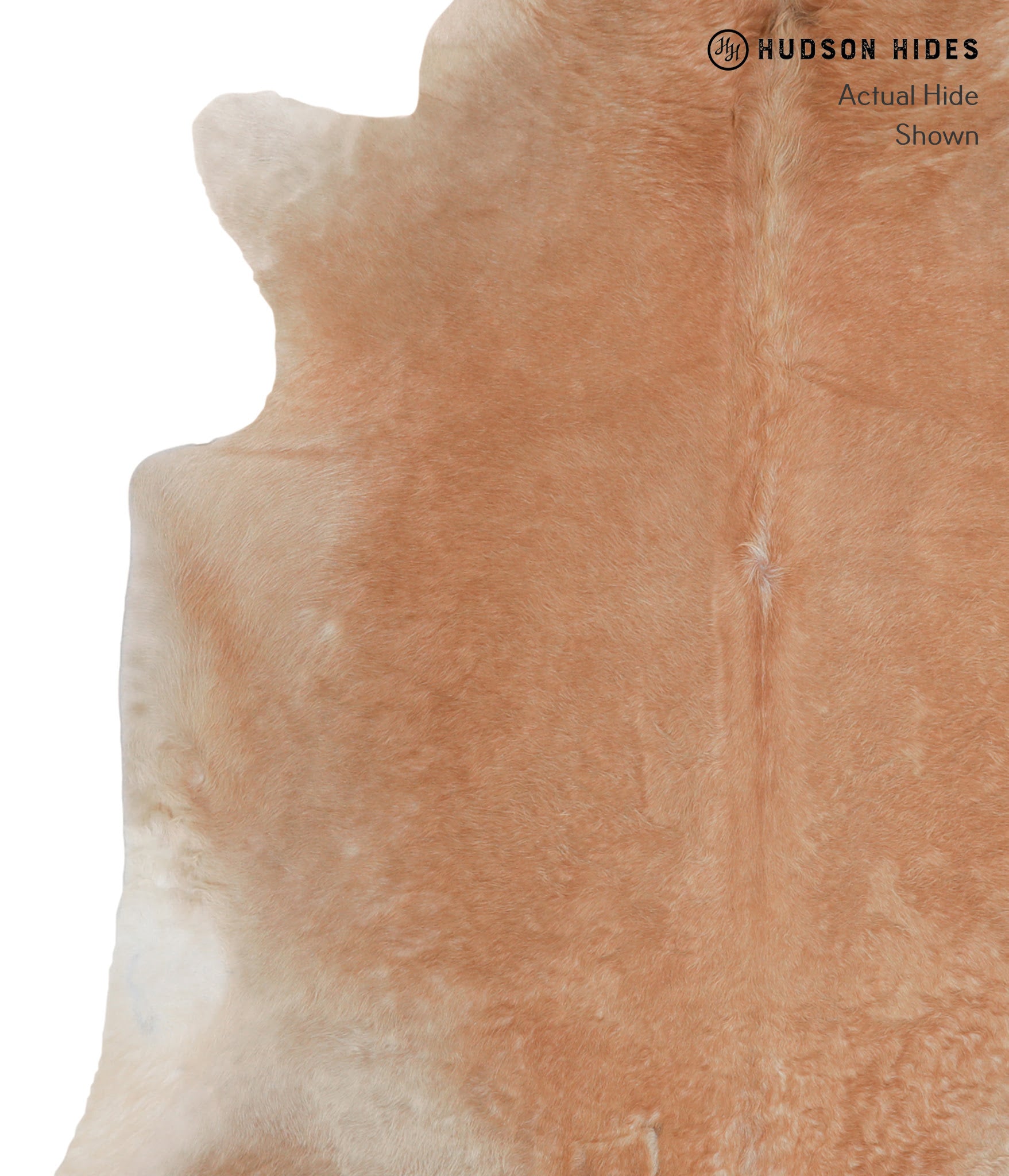 Solid Brown Cowhide Rug #A4504