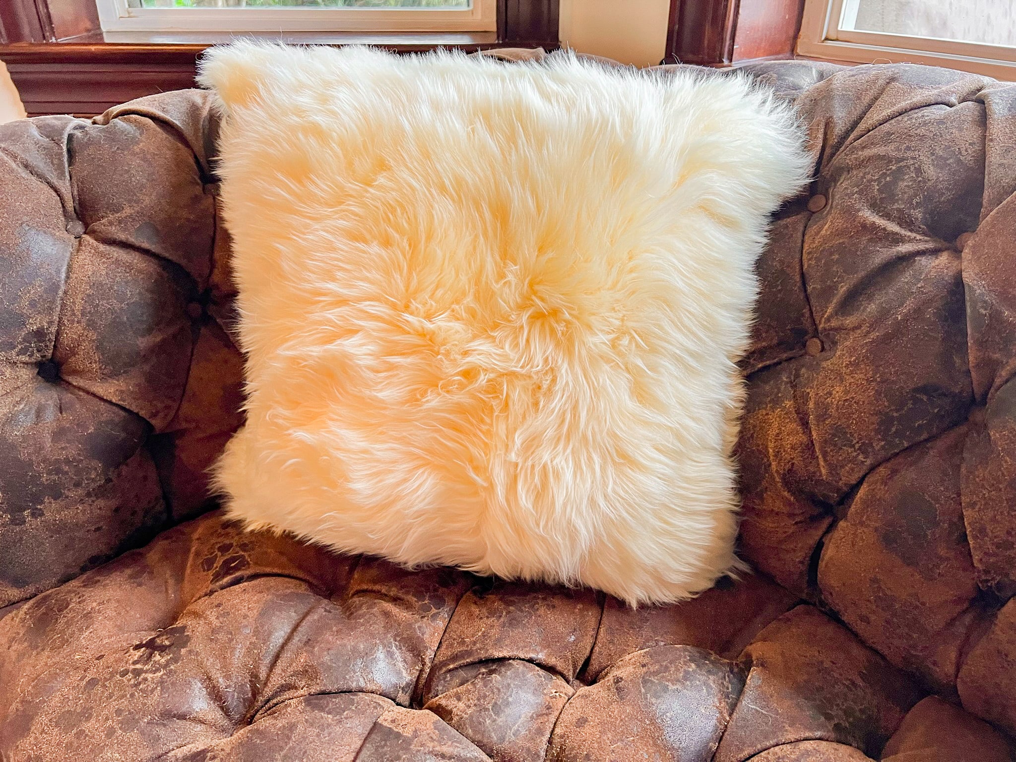 Cream New Zealand Sheepskin Pillow 20"x20" Single Sided by Hudson Hides