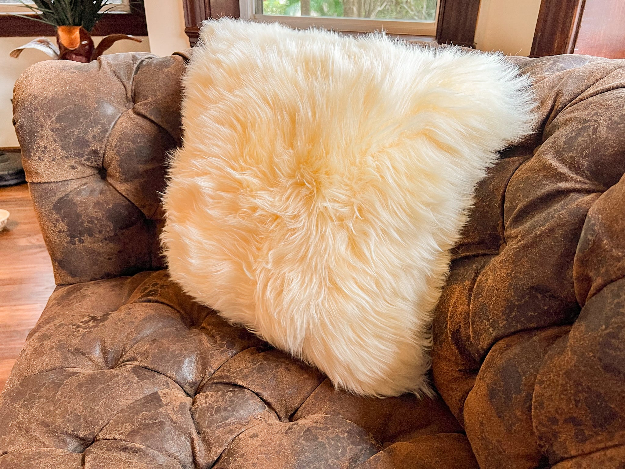 Cream New Zealand Sheepskin Pillow 20"x20" Single Sided by Hudson Hides